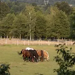 Osada Jezdziecka Bata Mirsk