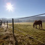 Osada Jezdziecka Bata Gospodarstwo agroturystyczne *