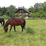 Osada Jezdziecka Bata *