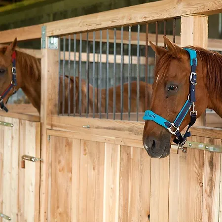 Osada Jezdziecka Bata Mirsk