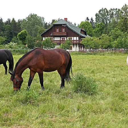 Osada Jeździecka Bata *