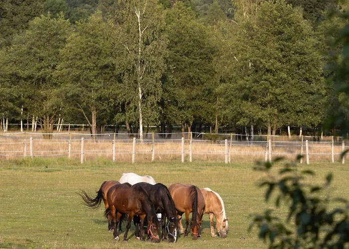 Osada Jezdziecka Bata Mirsk