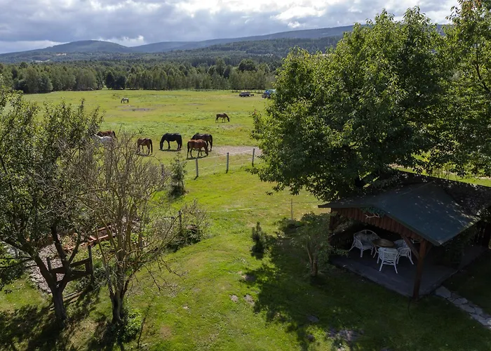 Vakantieboerderij Osada Jezdziecka Bata