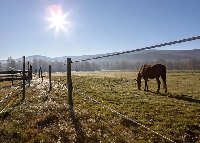 Osada Jezdziecka Bata Vakantieboerderij *