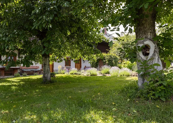 Vakantieboerderij Osada Jezdziecka Bata *