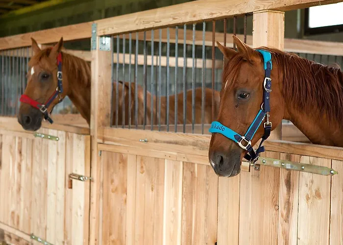 Osada Jezdziecka Bata Mirsk