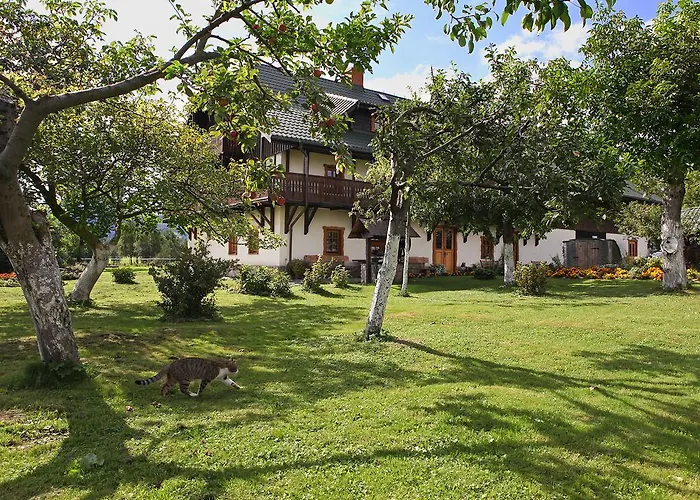 Osada Jezdziecka Bata * Mirsk