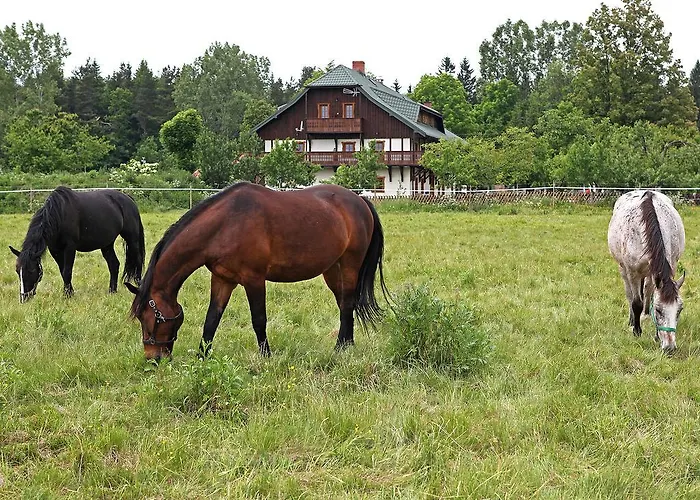Osada Jezdziecka Bata *